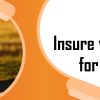 life insurance policy in India